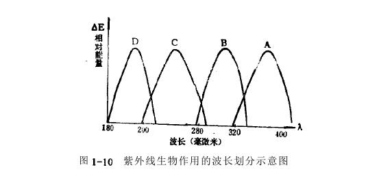 紫外线致黑斑效应